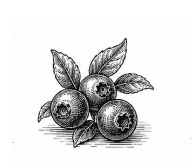 berry
